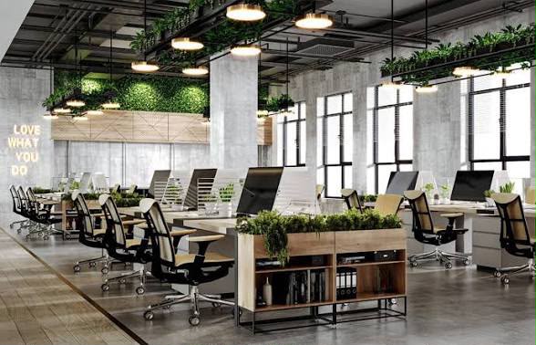 A workspace with desks below a planted ceiling and tall windows