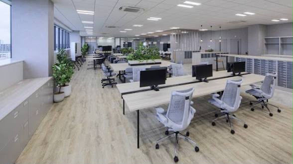 An open-plan office with desks, task chairs and planting